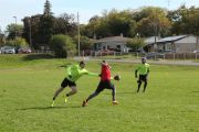 OTFL Gallery Image